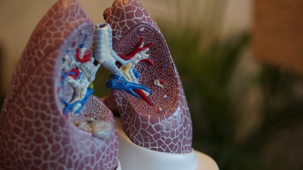 6 natural ways to have clean lungs